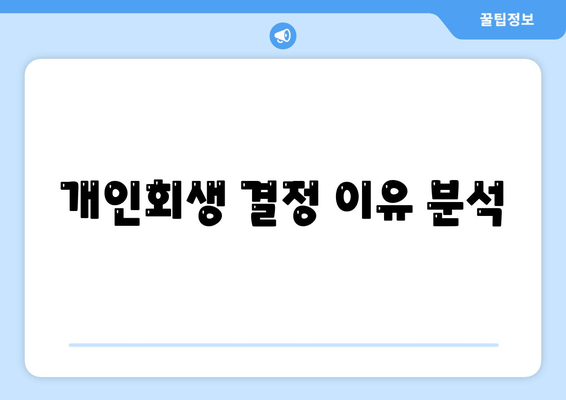 개인회생 결정 이유 분석