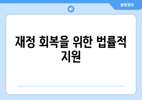 재정 회복을 위한 법률적 지원