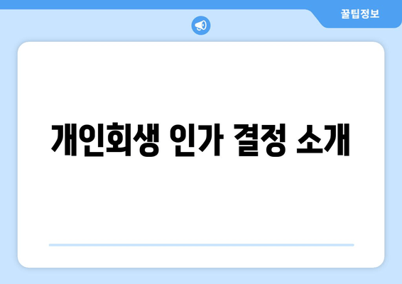 개인회생 인가 결정 소개