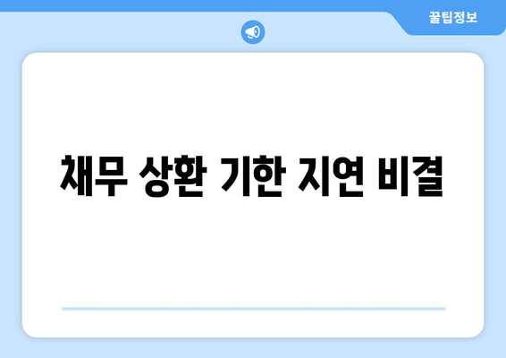 채무 상환 기한 지연 비결