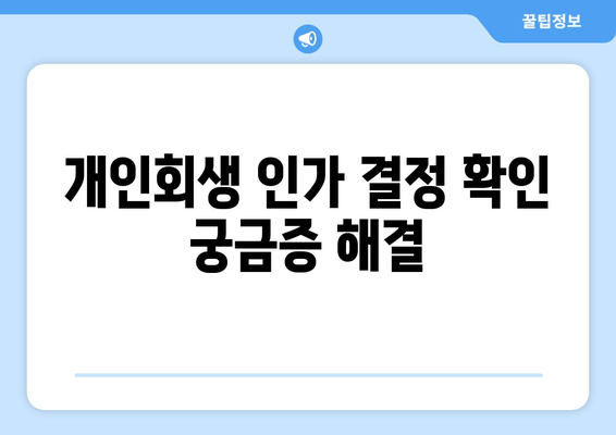 개인회생 인가 결정 확인 궁금증 해결