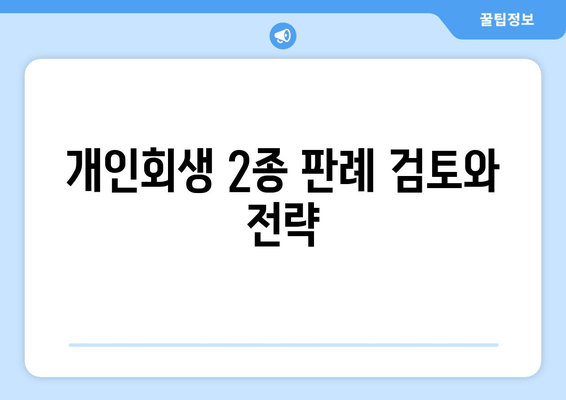 개인회생 2종 판례 검토와 전략