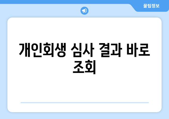 개인회생 심사 결과 바로 조회