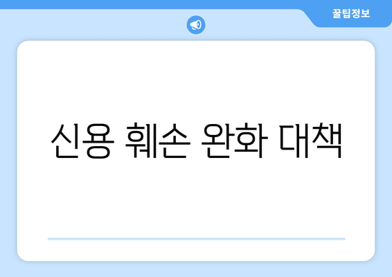 신용 훼손 완화 대책