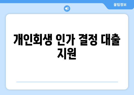 개인회생 인가 결정 대출 지원