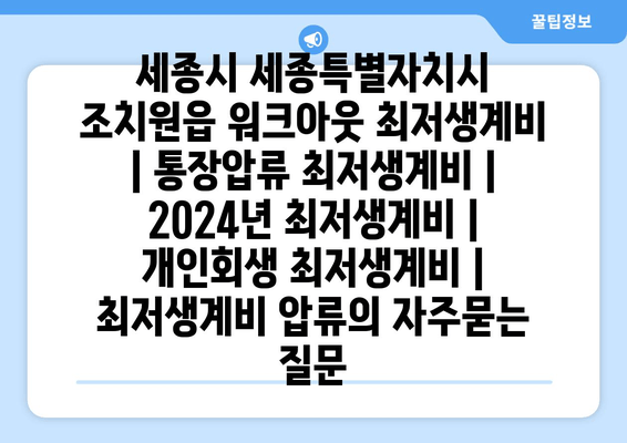 세종시 세종특별자치시 조치원읍 워크아웃 최저생계비 | 통장압류 최저생계비 | 2024년 최저생계비 | 개인회생 최저생계비 | 최저생계비 압류