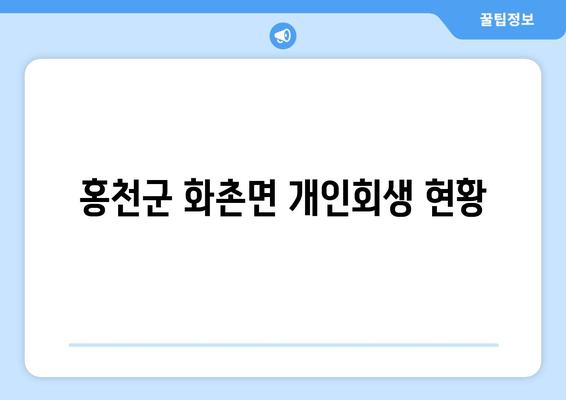 홍천군 화촌면 개인회생 현황