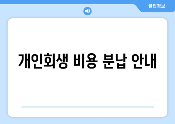 개인회생 비용 분납 안내