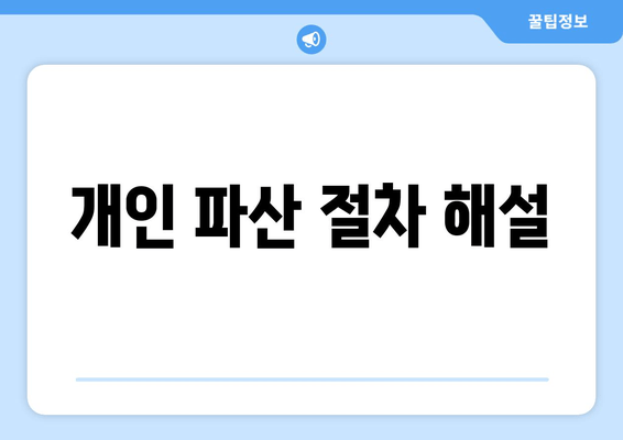 개인 파산 절차 해설