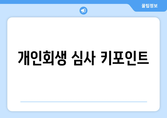 개인회생 심사 키포인트