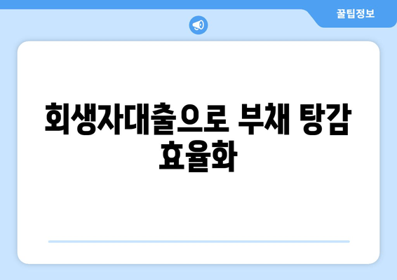 회생자대출로 부채 탕감 효율화