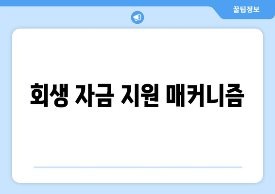 회생 자금 지원 매커니즘