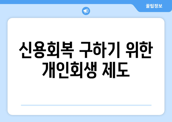 신용회복 구하기 위한 개인회생 제도