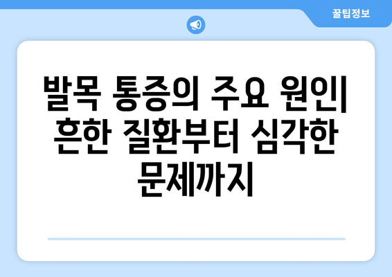 발목 시큰거림과 통증| 원인을 찾아내는 중요성 | 발목 통증 원인, 발목 시큰거림 해결, 발목 건강 관리