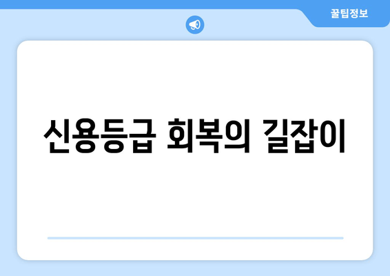 신용등급 회복의 길잡이