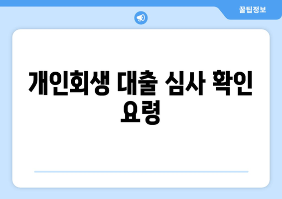 개인회생 대출 심사 확인 요령