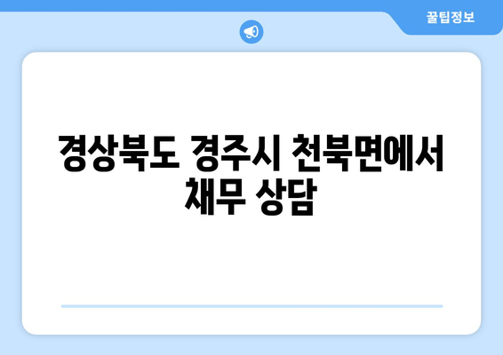 경상북도 경주시 천북면에서 채무 상담