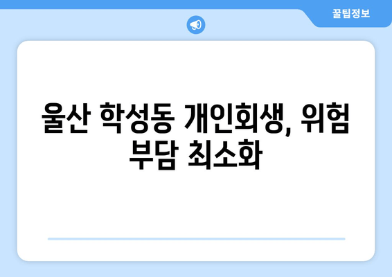 울산 학성동 개인회생, 위험 부담 최소화