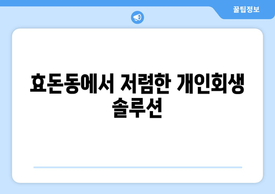 효돈동에서 저렴한 개인회생 솔루션