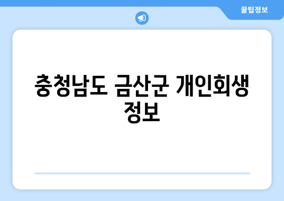 충청남도 금산군 개인회생 정보