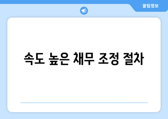 속도 높은 채무 조정 절차