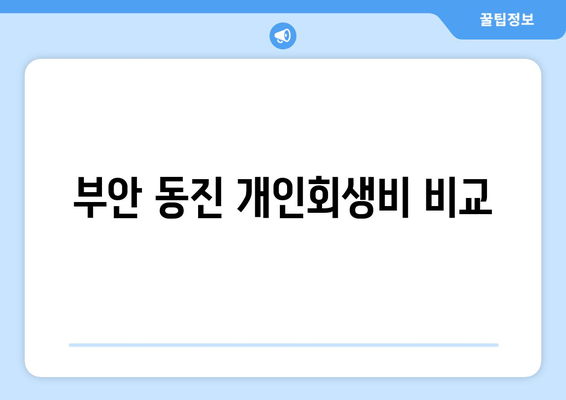 부안 동진 개인회생비 비교