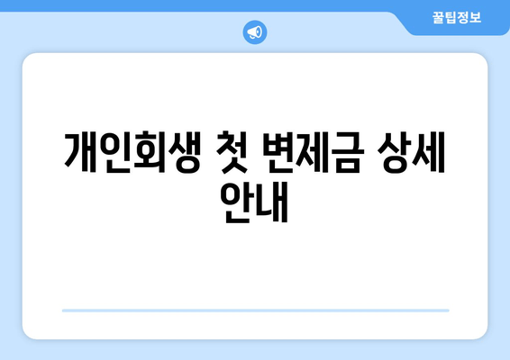 개인회생 첫 변제금 상세 안내