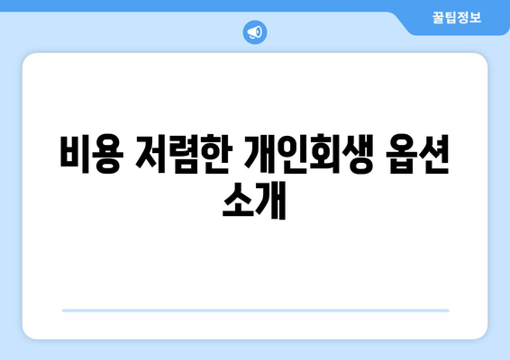 비용 저렴한 개인회생 옵션 소개