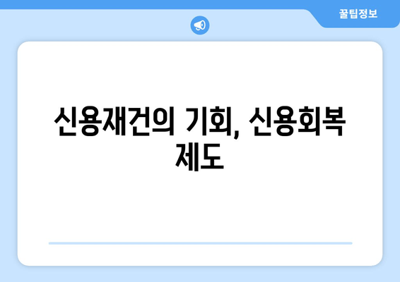 신용재건의 기회, 신용회복 제도