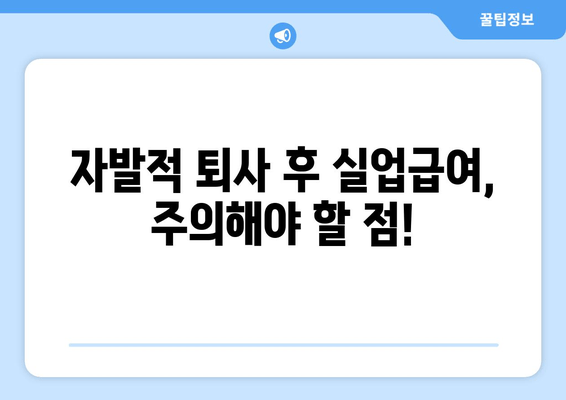 자발적 퇴사 후 실업급여 받을 수 있을까요? | 조건, 신청 방법, 주의 사항 완벽 정리