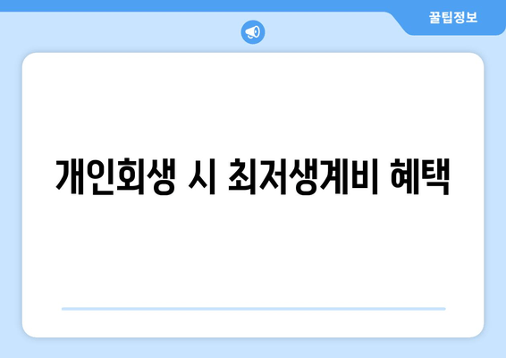 개인회생 시 최저생계비 혜택