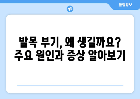 발목 부기, 영원히 안녕? | 발목 부기 원인 & 해결 솔루션, 완벽 가이드