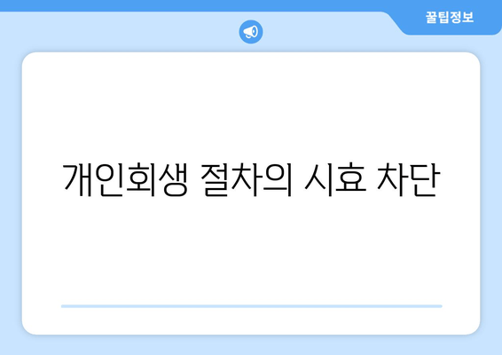 개인회생 절차의 시효 차단