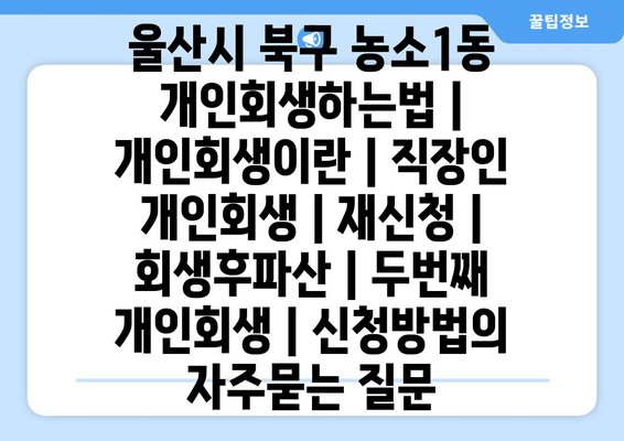 울산시 북구 농소1동 개인회생하는법 | 개인회생이란 | 직장인 개인회생 | 재신청 | 회생후파산 | 두번째 개인회생 | 신청방법