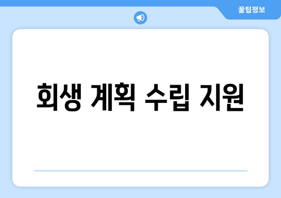 회생 계획 수립 지원