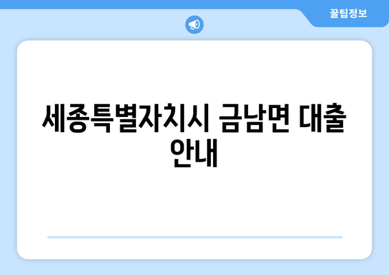 세종특별자치시 금남면 대출 안내