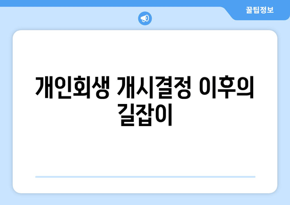 개인회생 개시결정 이후의 길잡이