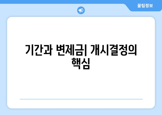 기간과 변제금| 개시결정의 핵심