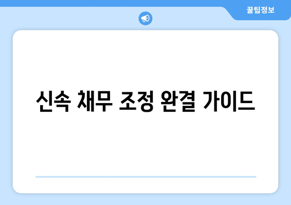 신속 채무 조정 완결 가이드