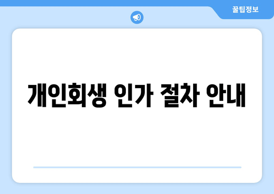 개인회생 인가 절차 안내