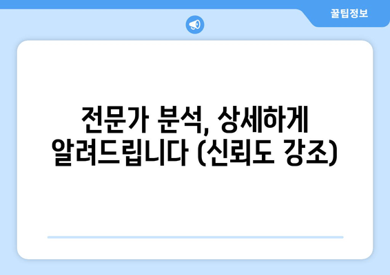 전문가 분석, 상세하게 알려드립니다 (신뢰도 강조)