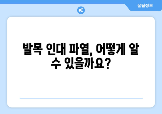 발목 인대 파열 완벽 가이드| 증상, 치료, 재활까지 | 발목 부상, 인대 손상, 운동, 재활 운동