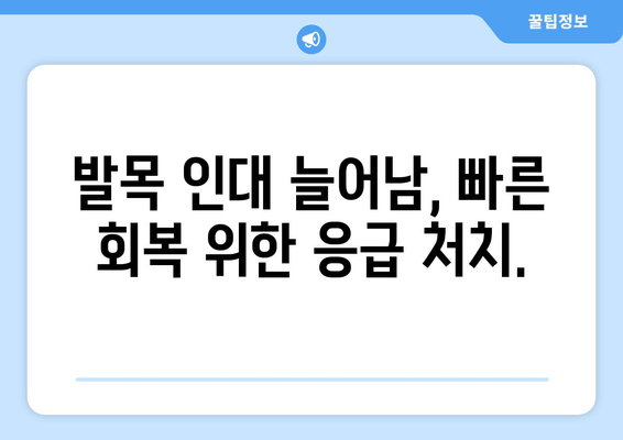 발목 인대 늘어남 증상과 치료| 완벽 가이드 | 발목 통증, 인대 손상, 재활 운동