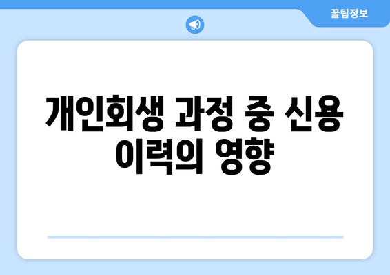 개인회생 과정 중 신용 이력의 영향