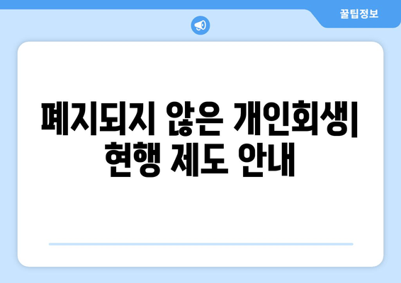 폐지되지 않은 개인회생| 현행 제도 안내