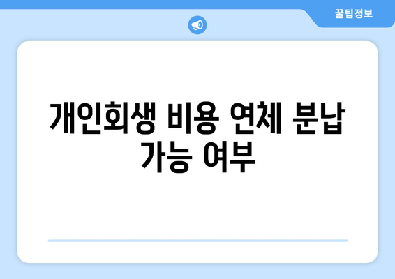 개인회생 비용 연체 분납 가능 여부