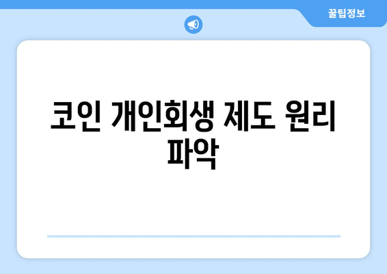 코인 개인회생 제도 원리 파악