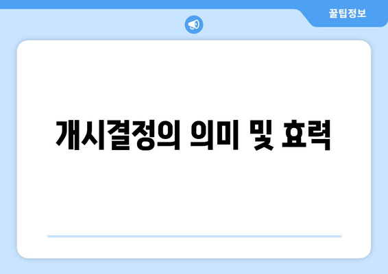 개시결정의 의미 및 효력