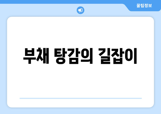 부채 탕감의 길잡이