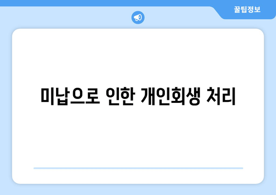 미납으로 인한 개인회생 처리